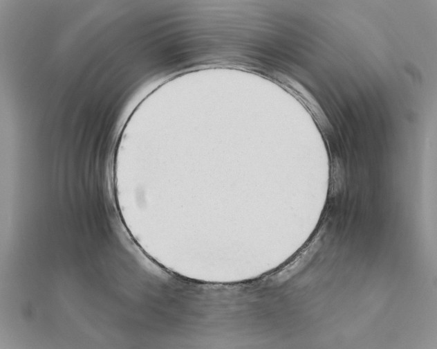 X0000110870812200907301412