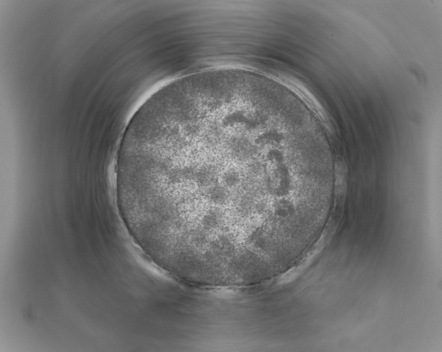 X0000110870814200907301412