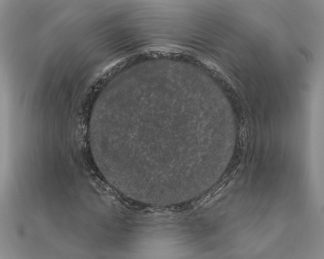 X0000110870822200907301411