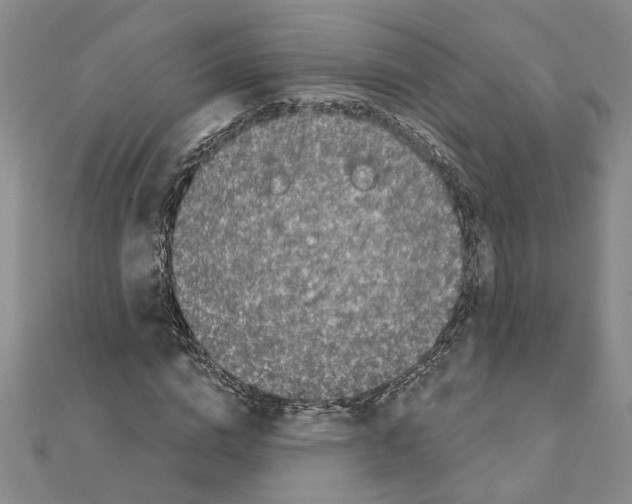 X0000110870824200907301411