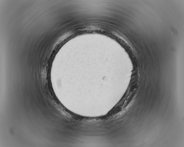 X0000110870826200907301411