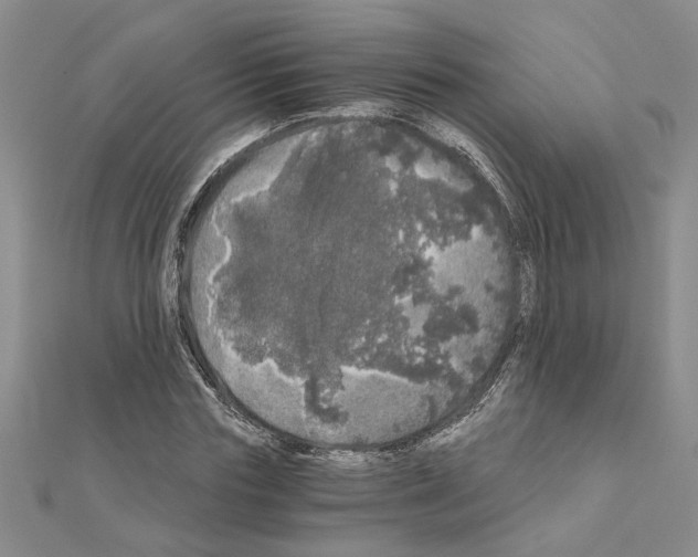 X0000110870827200907301411