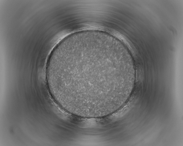 X0000110870828200907301411