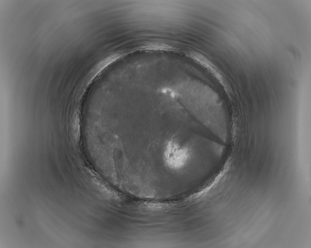 X0000110870829200907301411