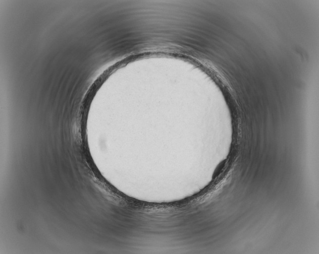 X0000110870830200907301411