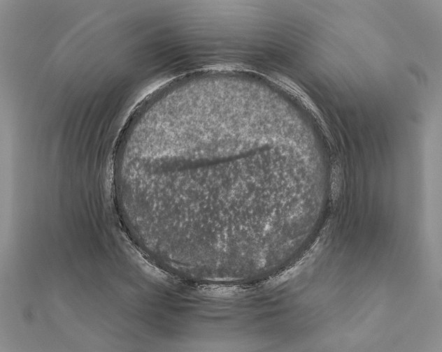 X0000110870831200907301411