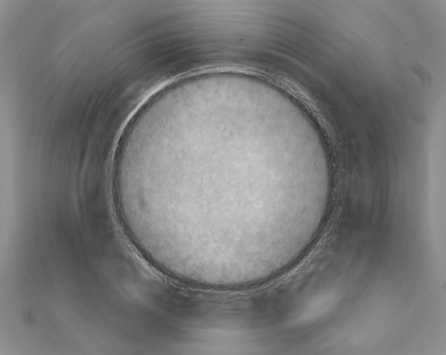 X0000110870836200907301411