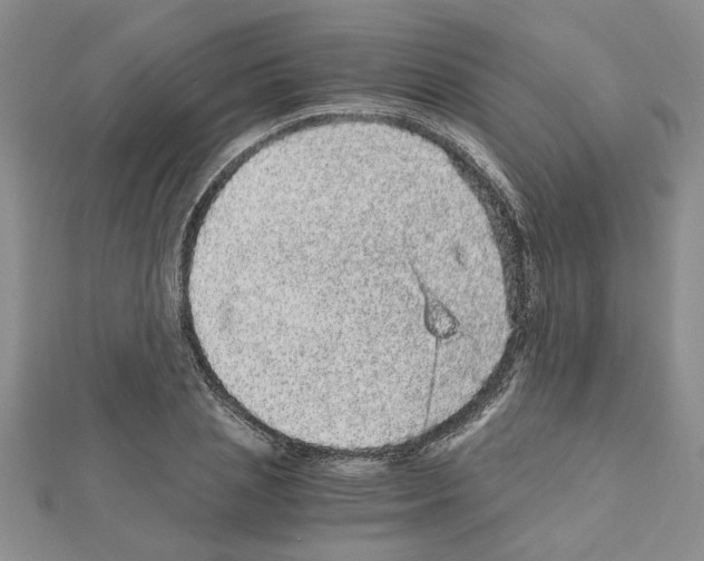 X0000110870837200907301411