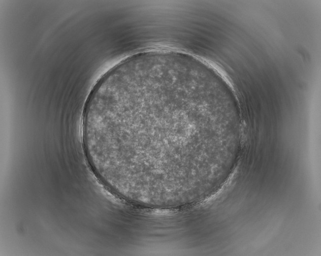 X0000110870839200907301411