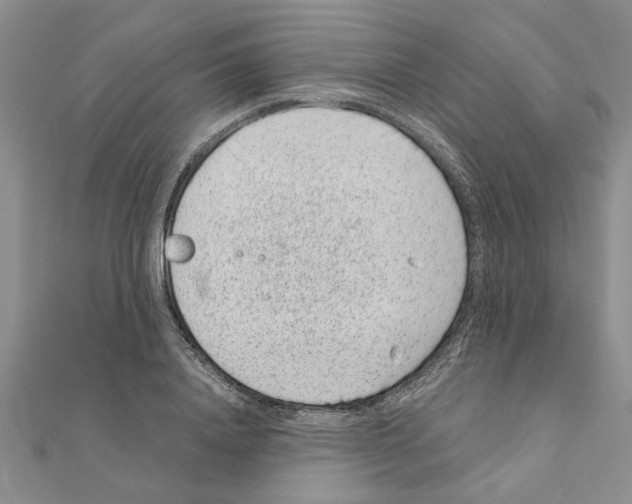 X0000110870840200907301411