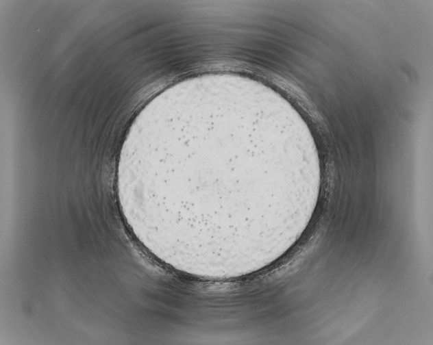 X0000110870841200907301411