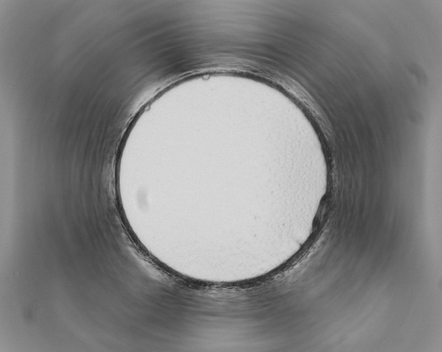 X0000110870842200907301411