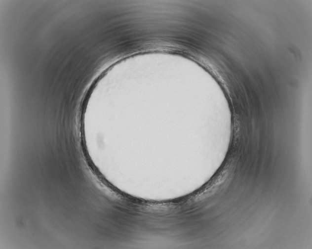 X0000110870843200907301411