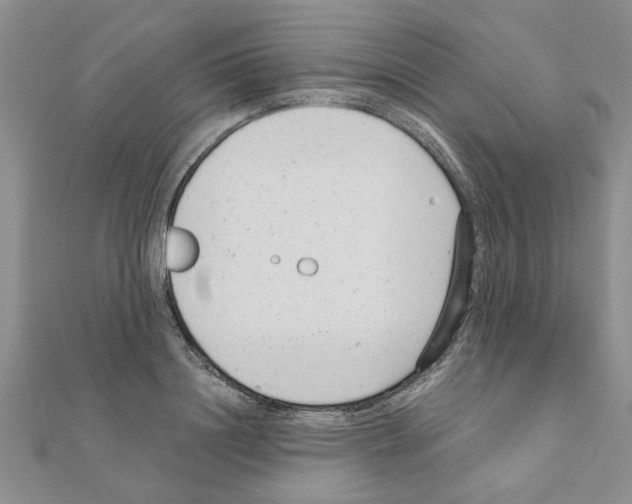 X0000110870844200907301411