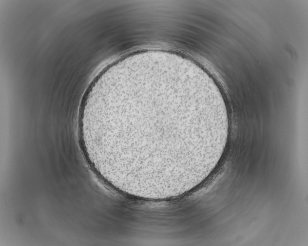 X0000110870845200907301411