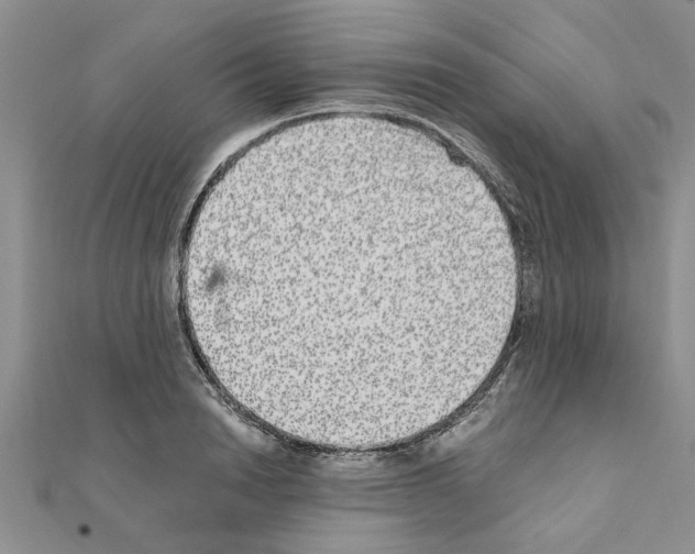 X0000110870846200907301411