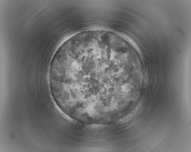 X0000110870847200907301411