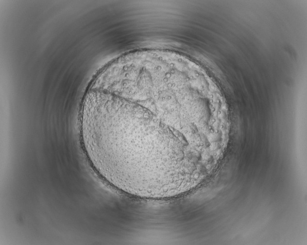 X0000110870848200907301411