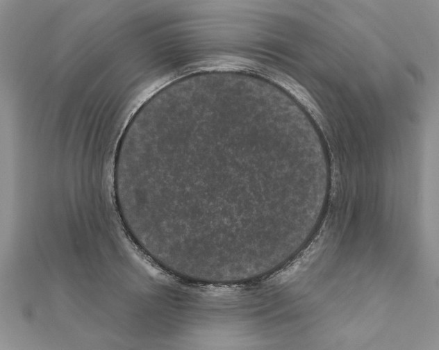 X0000110870850200907301412