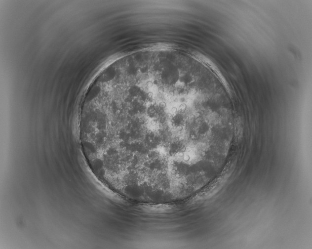 X0000110870851200907301412