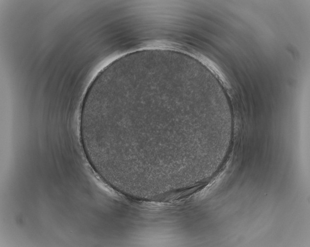 X0000110870854200907301412