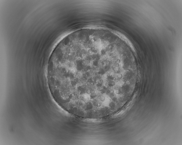 X0000110870855200907301412