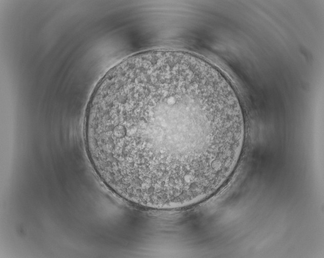 X0000110870856200907301412