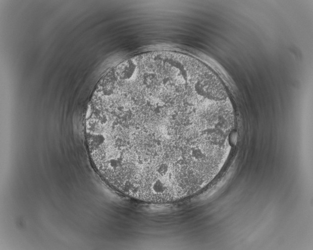 X0000110870857200907301412