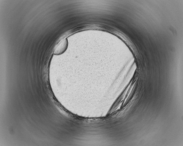 X0000110870858200907301412