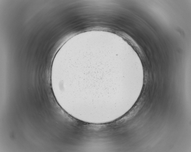 X0000110870860200907301412