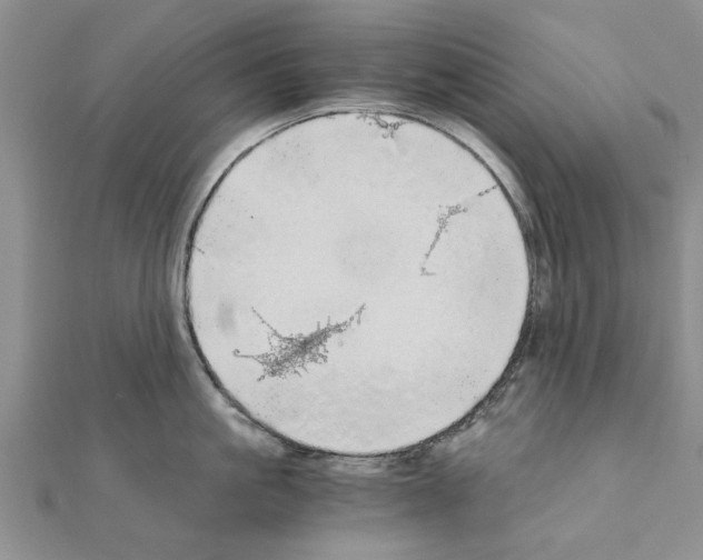 X0000110870861200907301412