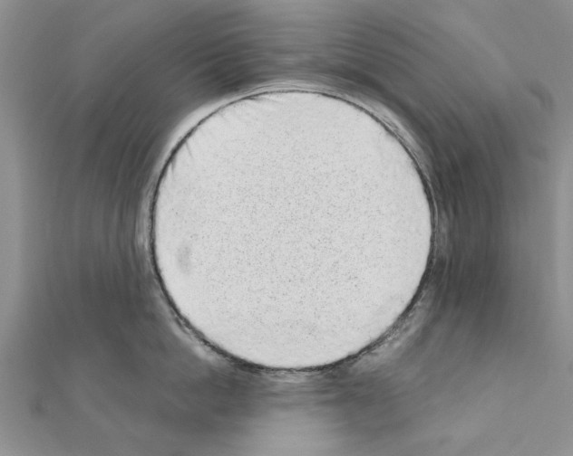 X0000110870862200907301412