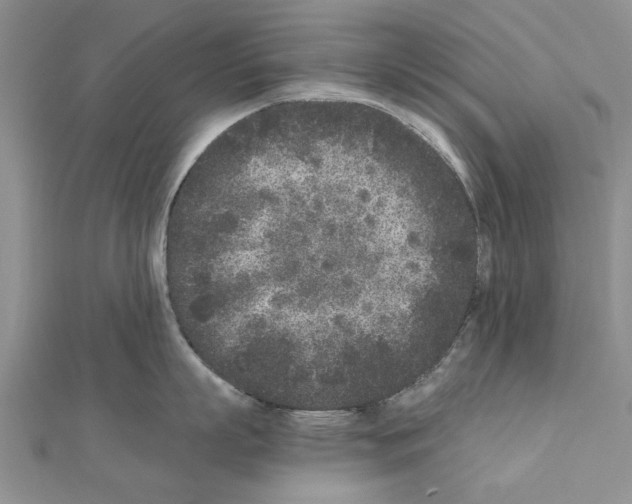 X0000110870863200907301412