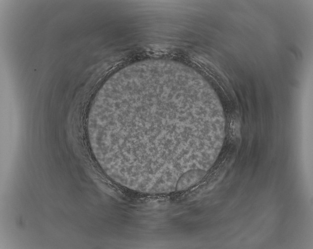 X0000110870865200907301411