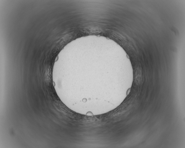 X0000110870866200907301411