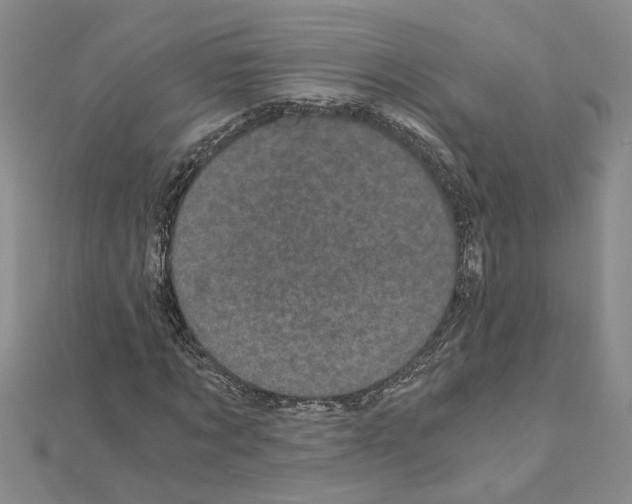 X0000110870869200907301411