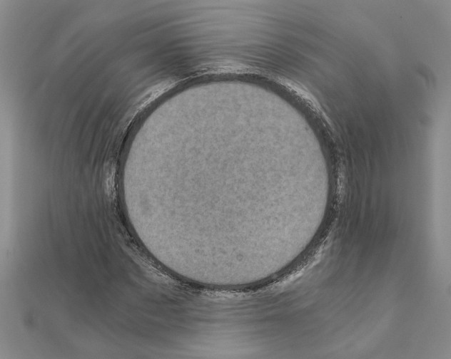 X0000110870873200907301411