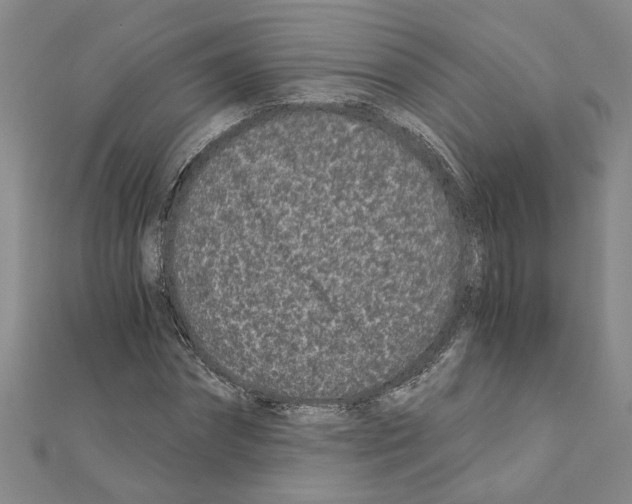 X0000110870874200907301411