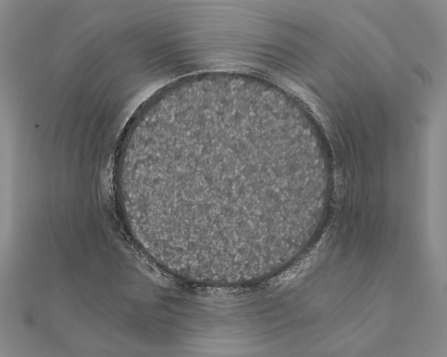 X0000110870875200907301411