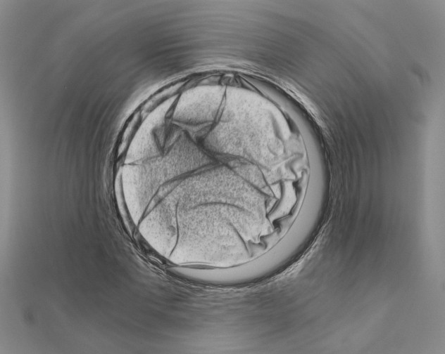 X0000110870877200907301411