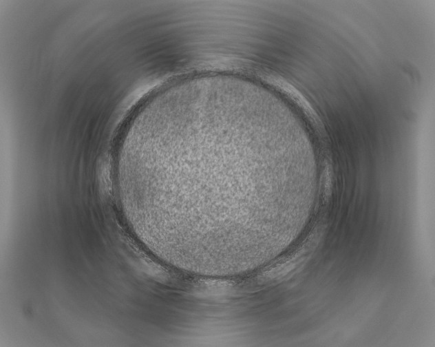 X0000110870878200907301411