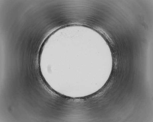 X0000110870884200907301411