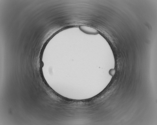 X0000110870885200907301411