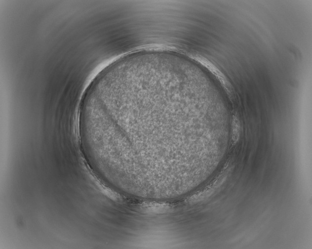 X0000110870886200907301411