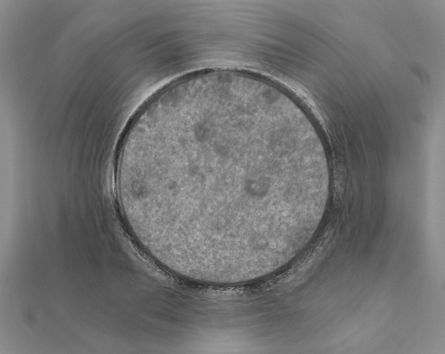 X0000110870887200907301411