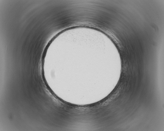 X0000110870888200907301411