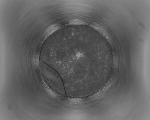 X0000110870889200907301411