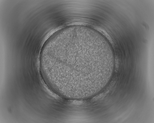 X0000110870890200907301411