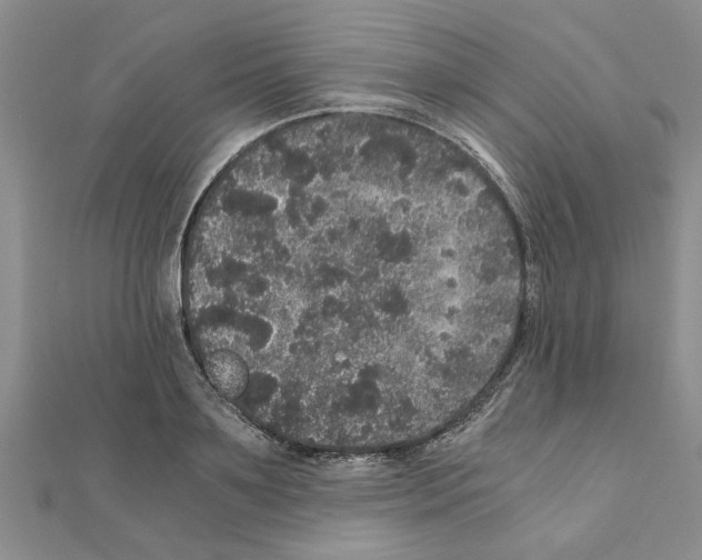 X0000110870891200907301411