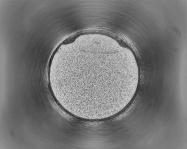 X0000110870892200907301411